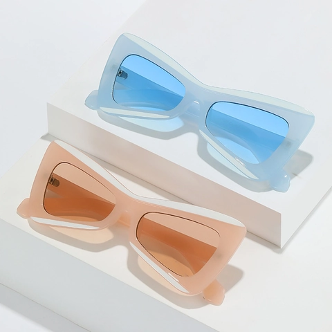 Occhiali Da Sole A Forma Di Farfalla Protezione UV400 Montatura In PC Personalizzati Cat Eye Stile Di Strada Per Donne