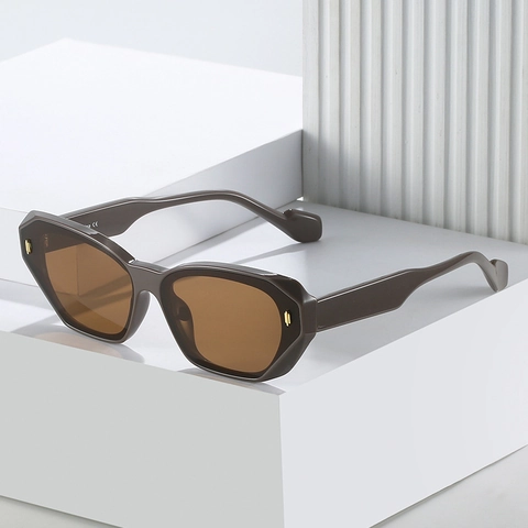Occhiali Da Sole Poligonali Retrò Protezione UV400 Montatura Spessa Geometrica Occhiali PC Moda Donna Uomo Stile Hip Hop