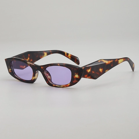 Cat Eye Sunglasses Small Frame Irregular Fashion Thick Temples UV400 Protection PC AC Lens Retro For Women Men