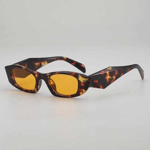 Cat Eye Sunglasses Small Frame Irregular Fashion Thick Temples UV400 Protection PC AC Lens Retro For Women Men