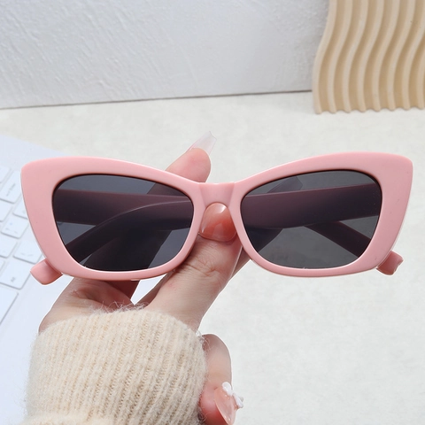 Retro Cat Eye Sunglasses UV400 Protection PC Frame AC Lens Outdoor Travel Beach Fashion Eyewear For Women Men