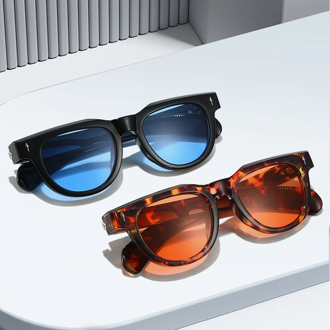 Vintage Cat Eye Sunglasses Men Women Fashion Square PC Frame UV400 Protection Eyewear With Metal Decorative Details