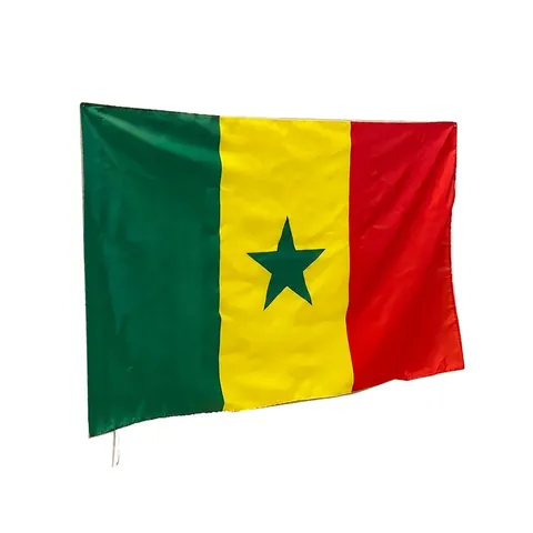Drapeau National Du Sénégal Polyester Rayures Verticales Vert Jaune Rouge Étoile Verte Grand Drapeau À Suspendre Et Petit