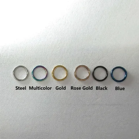 316 Stainless Steel Hinged Segment Ring Nose Ear Lip Piercing Body Jewelry Hoop Clicker Minimalist Style Unisex