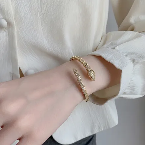 Snake Bone Bangle Bracelet Silver Plated Zirconia Full Rhinestone Open Cuff Trendy Jewelry For Women