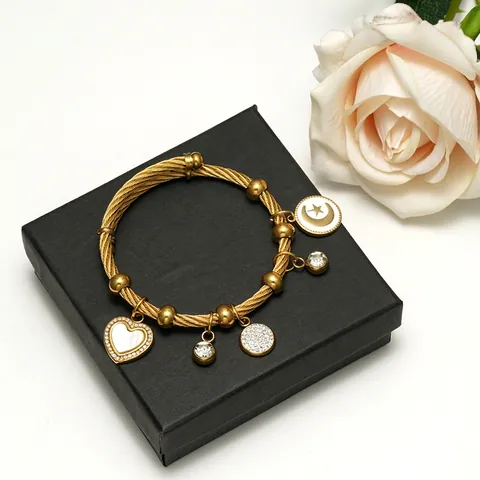 Stainless Steel Twisted Cable Bangle Bracelet Heart Shell Moon Star Charms Zircon Rhinestone Women Bohemian Elegant