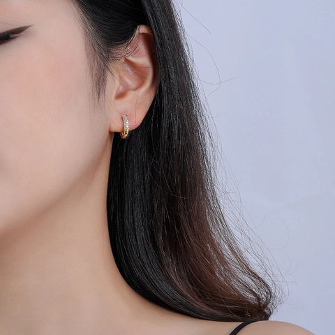 Boucles d'Oreilles Créoles en Acier Inoxydable 316 pour Femmes Plaqué Or Argent Zircone Cubique Bijoux de Mode