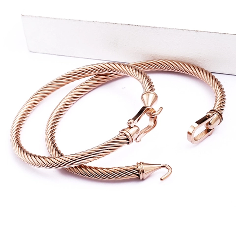 Bracelet Câble Torsadé En Acier Inoxydable Jonc Manille Fer À Cheval Fermoir Crochet Bijoux Minimalistes