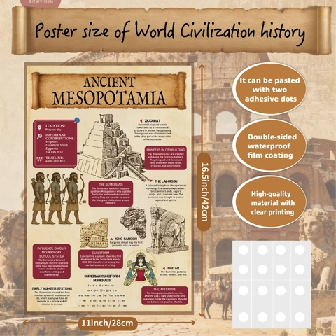 Vintage World History Civilization Biology Educational Posters Waterproof Laminated School Home Classroom Learning Charts