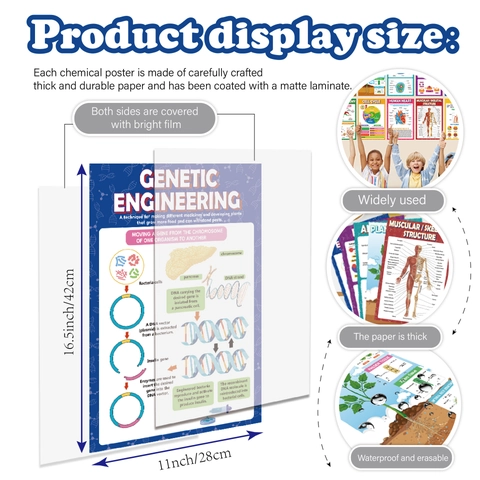 Poster Educativi Scienze Biologia Storia Cartoncino Impermeabile Per Aula Scuola Apprendimento Decorazione Parete