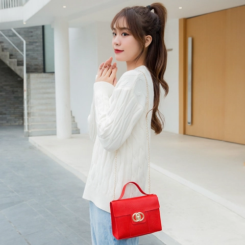 Women Fashion PU Leather Animal Pattern Small Square Bag With Gold Double Ring Lock Metal Chain Strap Top Handle Shoulder Crossbody Handbag