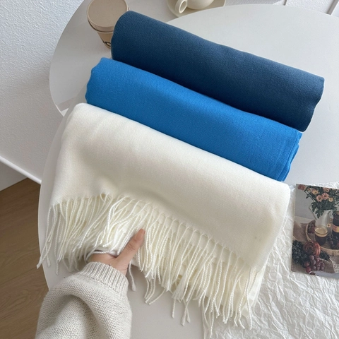 Solid Farbe Fransen Schal Kaschmir Imitat Verdickt Warm Winter Schal Minimalistisch Pendler Hals Wickel Für Damen Und Herren