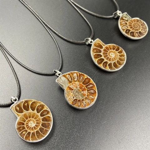 Natural Ammonite Fossil Pendant Necklace Retro Shell Spiral Ocean Animal Jewelry For Men Women Ethnic Vintage Necklace Gift