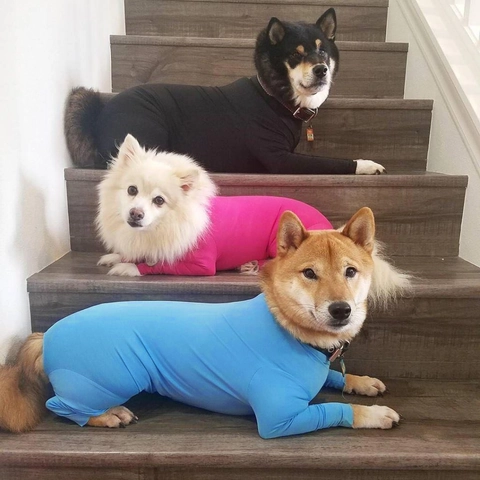 Dog Jumpsuit Full Body Coverage Elastic Polyester Four Legged Pet Recovery Suit For Medium Large Dogs Breathable