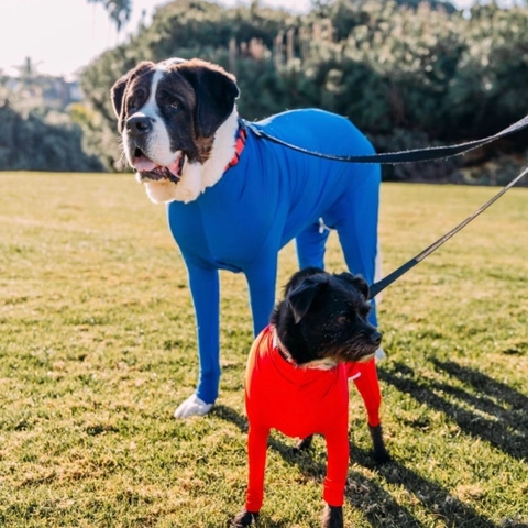 Dog Jumpsuit Full Body Coverage Elastic Polyester Four Legged Pet Recovery Suit For Medium Large Dogs Breathable