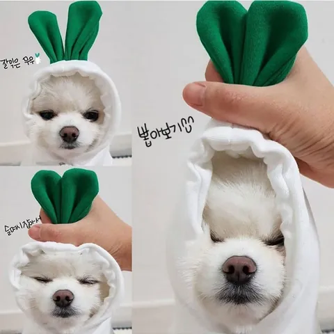 Sweat À Capuche Dessin Animé Pour Chien Chat Vêtements D'Hiver En Polaire Chaude Forme Fruit Animal Chiens