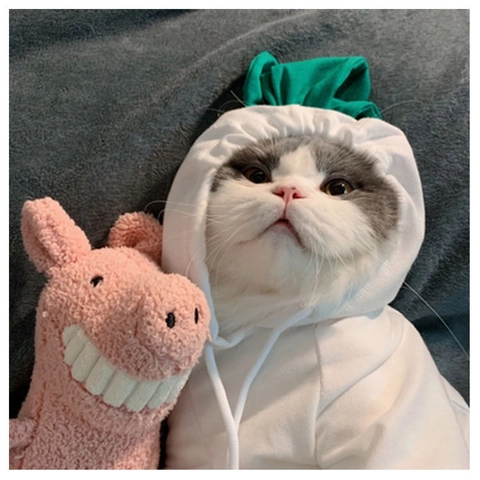 Sudadera Con Capucha Dibujos Animados Para Perro Gato Ropa Invierno Forro Polar Cálido Forma Fruta Animal Perros