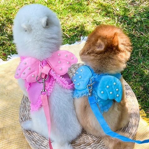 Pet Harness Leash Breathable Mesh Polyester Lace Artificial Pearl Angel Wings Princess Style Small Dogs Cats Cute