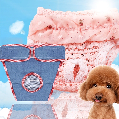 Simpatici Pantaloni Fisiologici Per Cani In Chiffon E Pizzo Pantaloncini Intimi Sanitari Floreali Traspiranti Per Cani