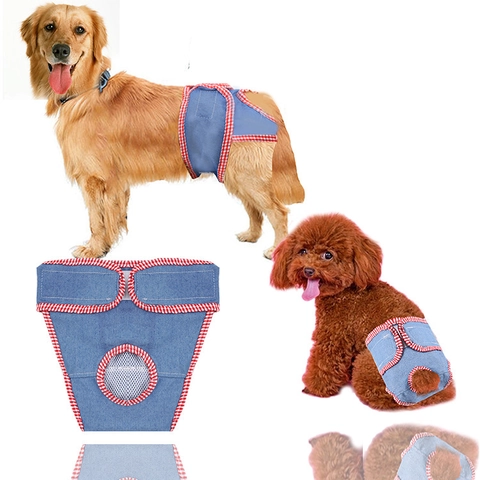Simpatici Pantaloni Fisiologici Per Cani In Chiffon E Pizzo Pantaloncini Intimi Sanitari Floreali Traspiranti Per Cani