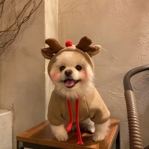Sudadera de Forro Polar para Mascotas Disfraz de Reno de Navidad para Perros Gatos Algodón Suave Ropa de Invierno para Mascotas