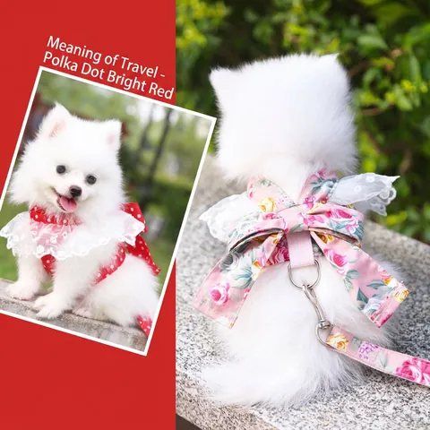 Pet Harness And Leash Polka Dot Floral Lace Bowknot Cloth Mesh Breathable Walking For Small Medium Dogs Cats