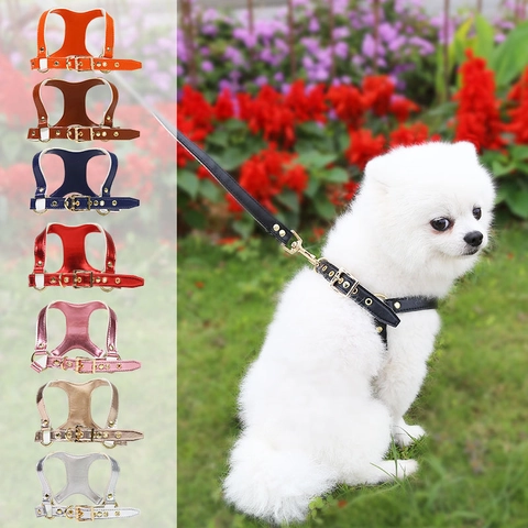 Metallic Glossy PU Leather Dog Harness And Leash Set For Small Medium Dogs Cats Adjustable Pet Safety Vest Gold Hardware