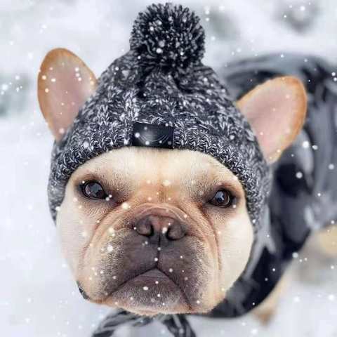 Winter Warm Knitted Pet Hat With Ear Holes Pom Pom And Braids For Small Medium Large Dogs Cats Yarn Dog Beanie Accessory