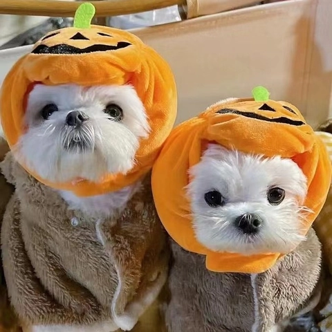 Pet Pumpkin Hat Plush Halloween Costume Headwear Adjustable For Cats Small Medium Dogs Soft Orange Funny Decoration