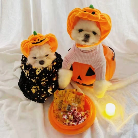 Pet Pumpkin Hat Plush Halloween Costume Headwear Adjustable For Cats Small Medium Dogs Soft Orange Funny Decoration