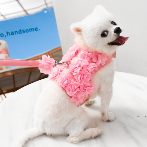 Pettorina E Guinzaglio Per Animali Domestici Rete In Chiffon Floreale Gilet Traspirante Per Cani Piccoli Gatti Cucciolo Elegante Dolce Decorativo