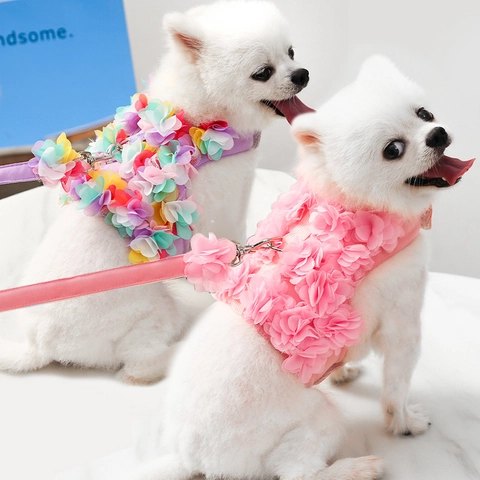 Pettorina E Guinzaglio Per Animali Domestici Rete In Chiffon Floreale Gilet Traspirante Per Cani Piccoli Gatti Cucciolo Elegante Dolce Decorativo