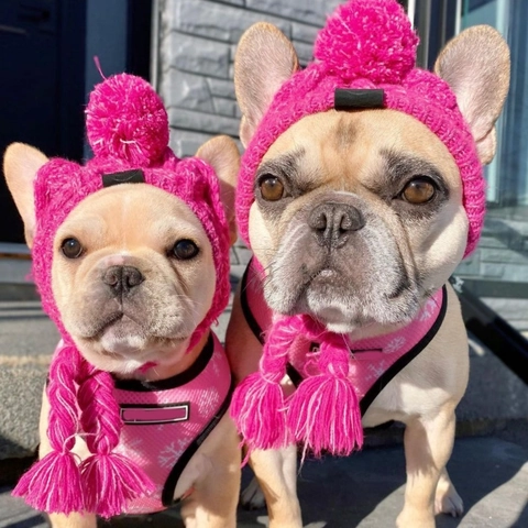 Cappello In Maglia Per Animali Acrilico Caldo Inverno Cane Gatto Berretto Con Paraorecchie Con Pom Pon E Cinturini Intrecciati Antivento