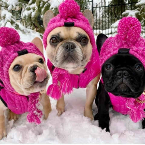 Cappello In Maglia Per Animali Acrilico Caldo Inverno Cane Gatto Berretto Con Paraorecchie Con Pom Pon E Cinturini Intrecciati Antivento