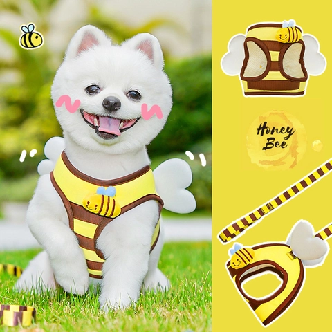 Bijen Thema Huisdier Harnas En Lijn Voor Katten Kleine Honden Polyester Mesh Vest Met Vleugels Wandelen