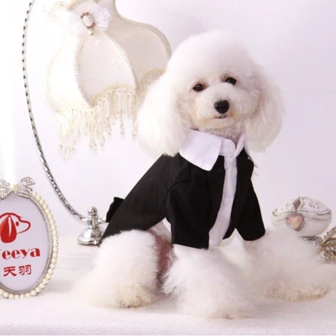 Abito Da Smoking Per Animali Vestiti Da Matrimonio Cani Gatti Stile Gentleman Britannico Poliestere Elegante Papillon