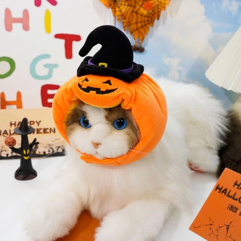 Pet Halloween Pumpkin Hat Cute Plush Wizard Cap Costume For Cats And Small Dogs Festival Party Pet Apparel Accessories