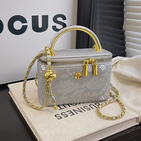Sac Boîte Femme Motif Serpent Cuir PU Poignée Métal Bandoulière Chaîne Élégant Vintage Mini Sac À Main Vanity Case