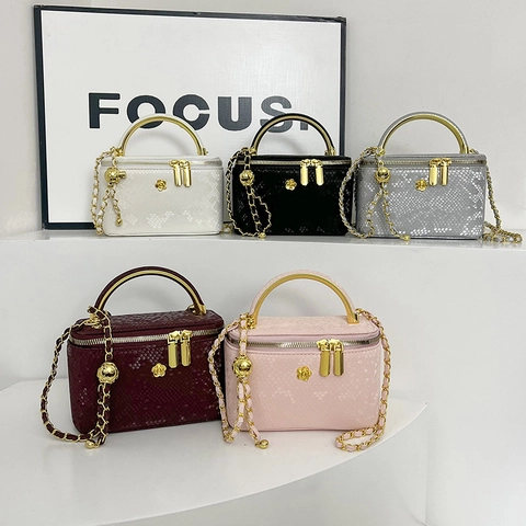 Sac Boîte Femme Motif Serpent Cuir PU Poignée Métal Bandoulière Chaîne Élégant Vintage Mini Sac À Main Vanity Case