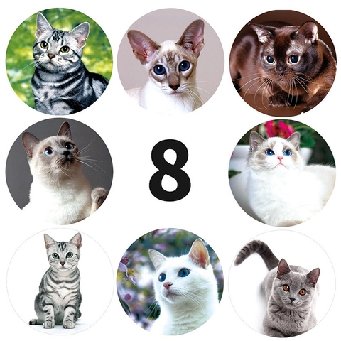 Autocollants Chat Ronds Étiquettes Récompense Autocollantes Pour Enfants École Enseignant Réaliste Races De Chats DIY