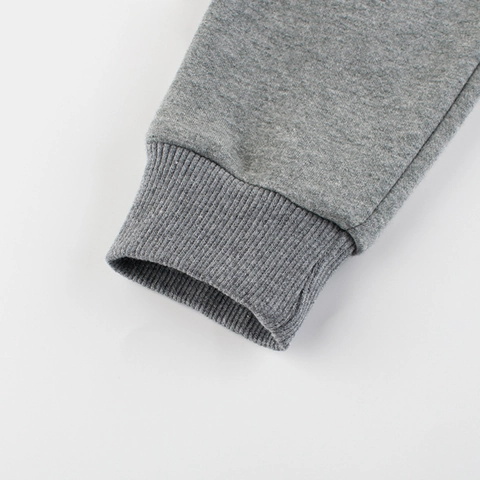 Kinder Jogginghose Baumwollmischung Fleece Gefüttert Dinosaurier Stickerei Elastische Taille Winter Sweatpants