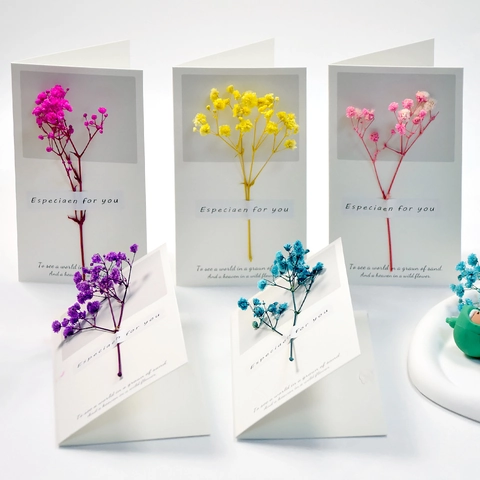 Handgefertigte Grußkarten Mit Getrockneten Blumen Gypsophila Schleierkraut Karton Mini Geschenkkarte Minimalistischer Koreanischer Stil