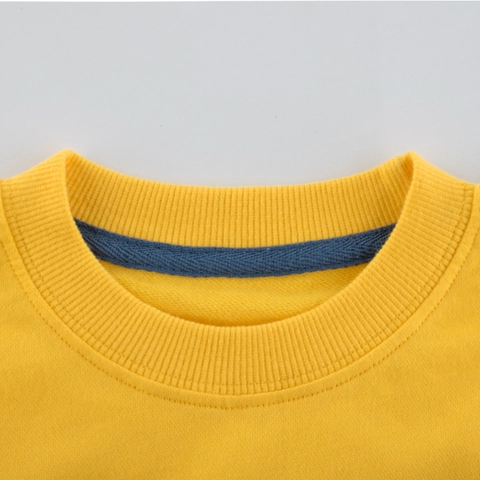 Kids Toddler Dinosaur Sweatshirt Long Sleeve Pullover Cotton Yellow Cartoon Animal Top With 3D Fin For Boys Girls