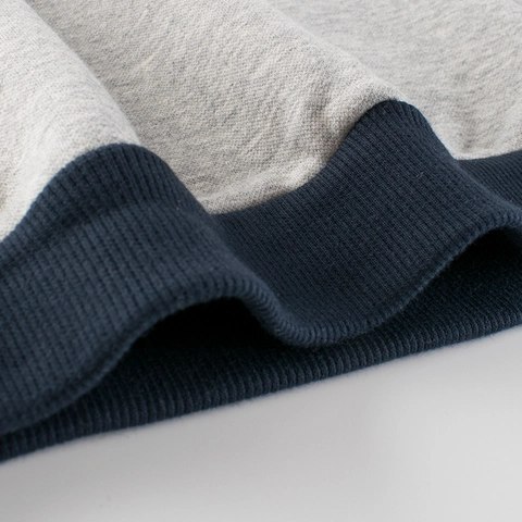 Boys Fleece Lined Sweatshirt Casual Color Block Raglan Sleeve Letter Print Crew Neck Warm Fall Winter Pullover Top