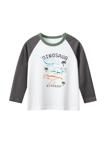 Maglietta A Maniche Lunghe Da Ragazzo 100% Cotone Raglan Casual Stampa Dinosauro Girocollo Per Bambini