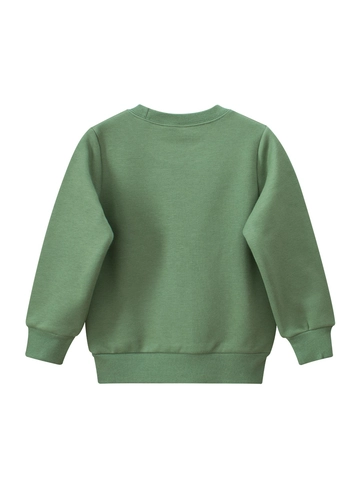 Sudadera de Felpa para Niños Estampado de Panda de Dibujos Animados Manga Larga Cuello Redondo Jersey Top Verde Mezcla de Algodón Ropa Casual para Niños