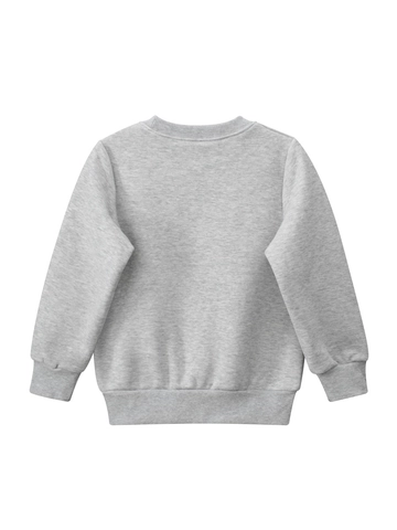 Jongens Fleece Gevoerd Sweatshirt Katoen Polyester Cartoon Beer Print Casual Lange Mouwen Ronde Hals Voor Peuters