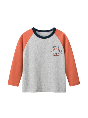 Jungen Langarm T-Shirt Baumwolle Raglanärmel Cartoon Dinosaurier Skateboard Druck Lässiger Rundhals Kleinkind Top