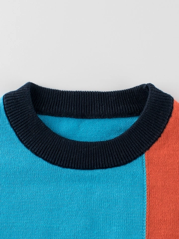 Suéter De Punto De Algodón Para Niños Bloque De Color Jersey Cuello Redondo Manga Larga Informal Otoño Invierno Niños
