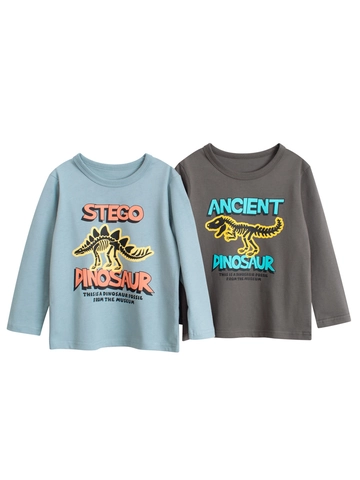 Jongens T Shirt Met Lange Mouwen Puur Katoen Dinosaurus Fossiel Print Ronde Hals Casual Top Peuter